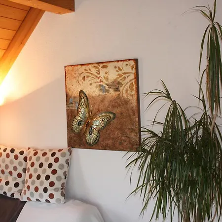 Mit Balkon Und Bergsicht Accommodatie bij particulieren *