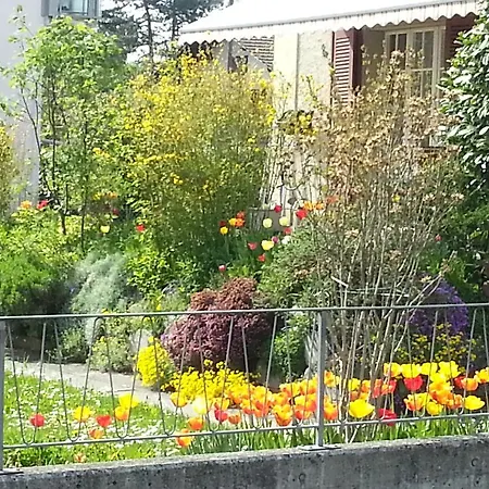 Mit Balkon Und Bergsicht