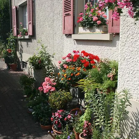 Mit Balkon Und Bergsicht Privat bolig *